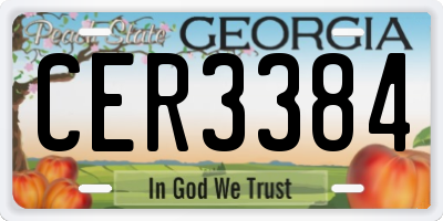GA license plate CER3384