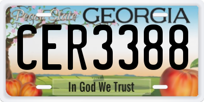 GA license plate CER3388