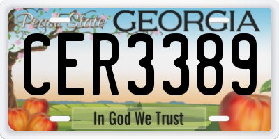 GA license plate CER3389