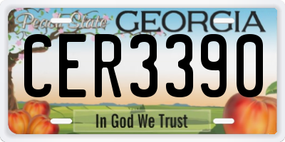GA license plate CER3390