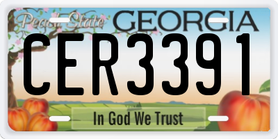 GA license plate CER3391