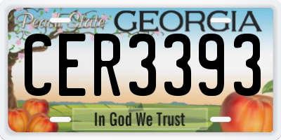 GA license plate CER3393