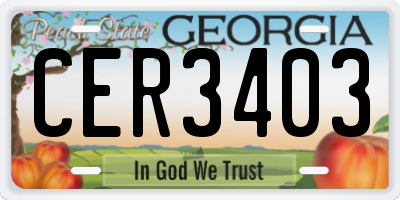 GA license plate CER3403