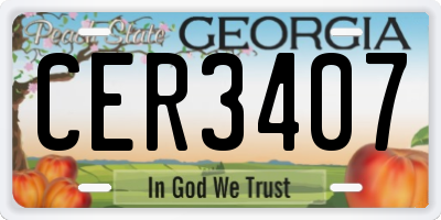 GA license plate CER3407