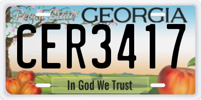 GA license plate CER3417