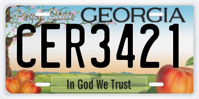 GA license plate CER3421