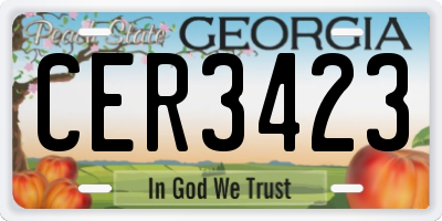 GA license plate CER3423