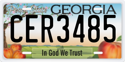 GA license plate CER3485