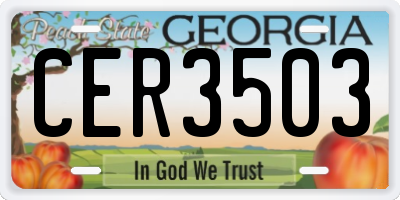 GA license plate CER3503