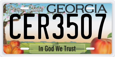 GA license plate CER3507