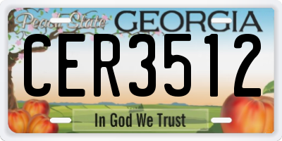 GA license plate CER3512