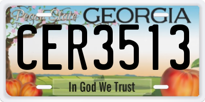 GA license plate CER3513