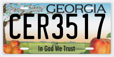 GA license plate CER3517