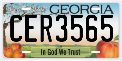 GA license plate CER3565