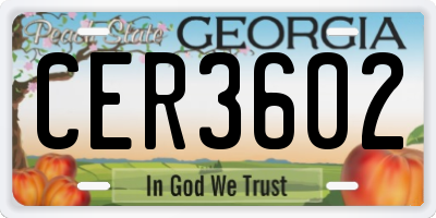 GA license plate CER3602