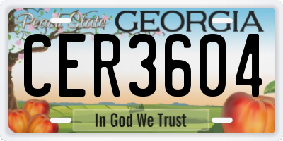GA license plate CER3604