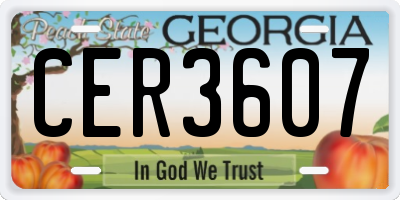 GA license plate CER3607