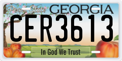 GA license plate CER3613