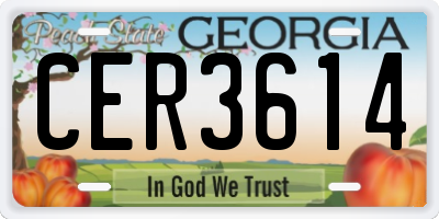 GA license plate CER3614