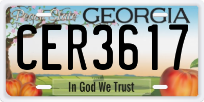 GA license plate CER3617