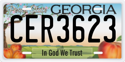 GA license plate CER3623
