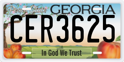 GA license plate CER3625