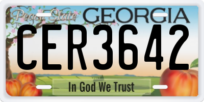 GA license plate CER3642
