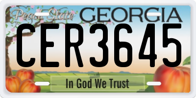 GA license plate CER3645