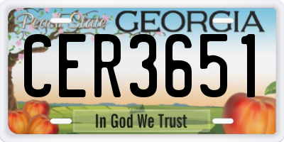 GA license plate CER3651