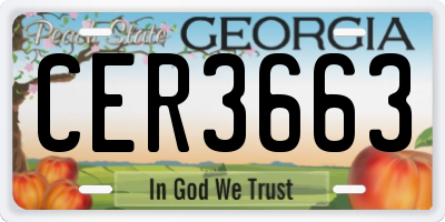 GA license plate CER3663