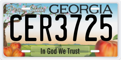 GA license plate CER3725