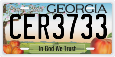 GA license plate CER3733