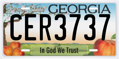 GA license plate CER3737
