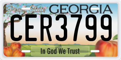 GA license plate CER3799