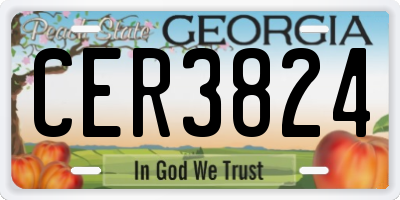 GA license plate CER3824