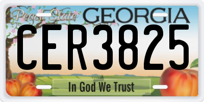 GA license plate CER3825