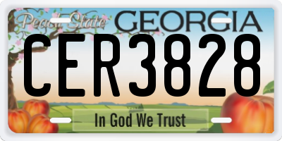 GA license plate CER3828
