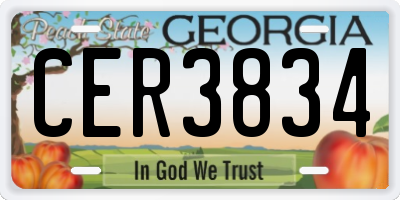 GA license plate CER3834