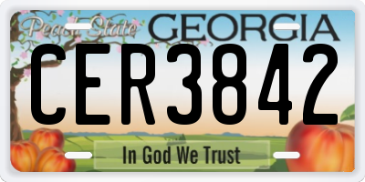 GA license plate CER3842