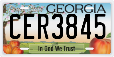 GA license plate CER3845