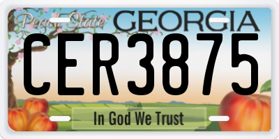 GA license plate CER3875