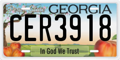 GA license plate CER3918