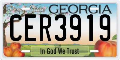 GA license plate CER3919
