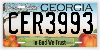 GA license plate CER3993