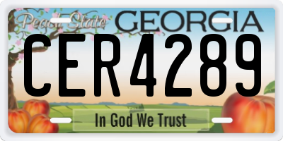 GA license plate CER4289