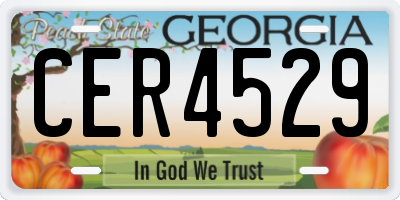 GA license plate CER4529