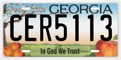 GA license plate CER5113