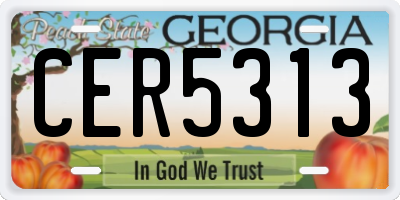 GA license plate CER5313