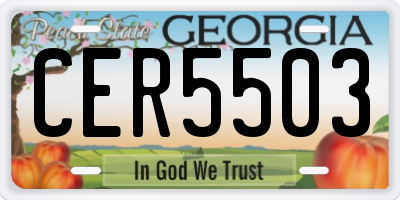 GA license plate CER5503