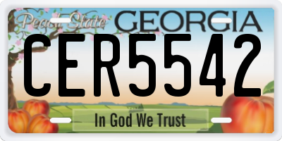 GA license plate CER5542